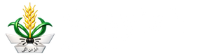 Nasyiah Kendal logo